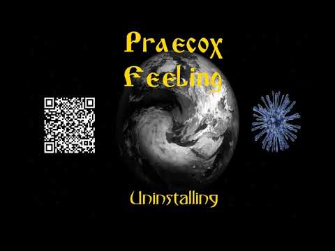 praecox feeling - Китайская стена видео (клип)