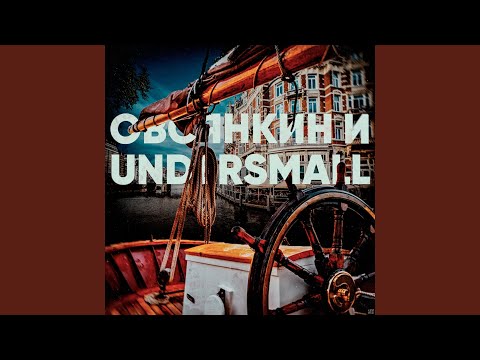 Овсянкин, Undersmall - В музее видео (клип)