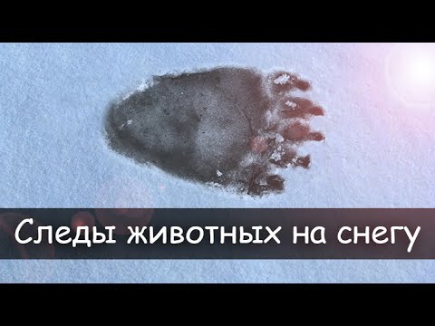 Эквилибрис - След на снегу видео (клип)