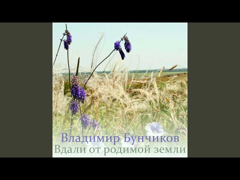 Vladimir Bunchikov - Вдали от родимой земли видео (клип)