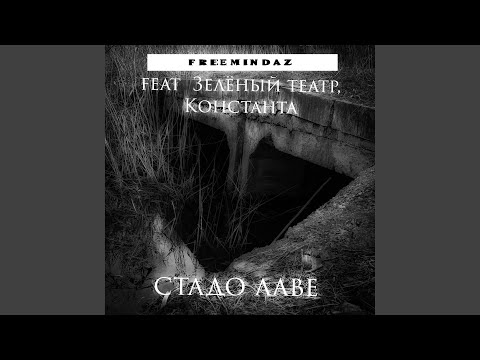 FreemindaZ - Стадо лавэ (feat. зелёный Театр, Константа) видео (клип)