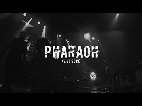 Digimortal - Фараон (Live) видео (клип)