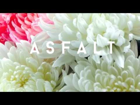 ESTRADARADA - Love Is (Асфальт) видео (клип)