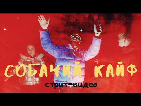 dlb - Собачий кайф видео (клип)