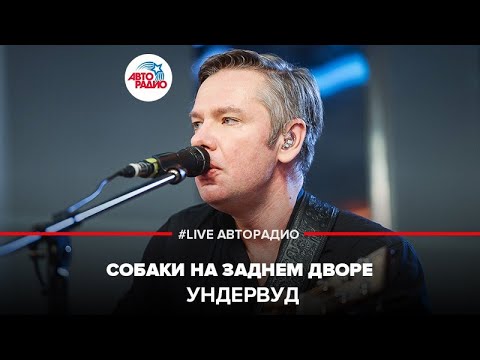 Ундервуд - Собаки на заднем дворе видео (клип)