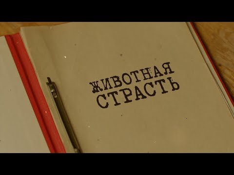 CHAINY - Животная страсть видео (клип)