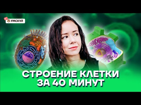 Semid - Клетка видео (клип)