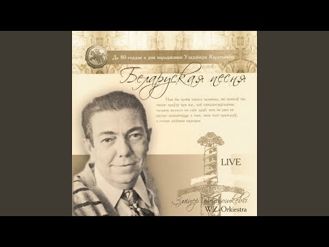 Змитер Войтюшкевич - На дальней старане (Live) видео (клип)