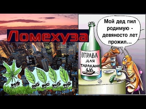 OmunRa - Ломехуза видео (клип)