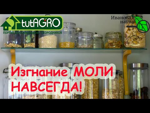 Нездоровоепитание - МОЛЬ видео (клип)