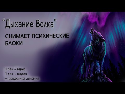 Volk - Дышать видео (клип)