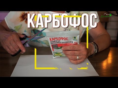 Карбофос - Гладиатор видео (клип)