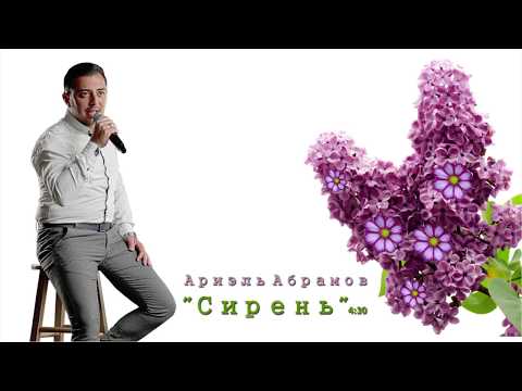 Ariel Abramov - Сирень видео (клип)