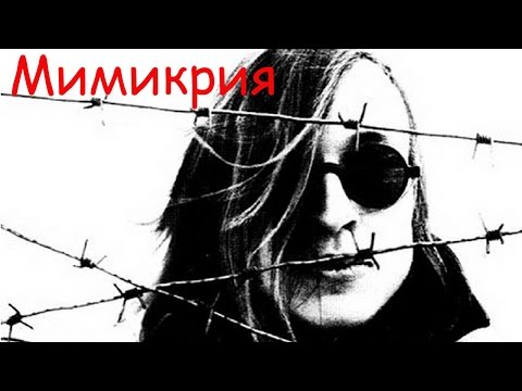 Гражданская Оборона - Мимикрия видео (клип)