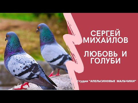 Апельсиновые мальчики - Голуби видео (клип)