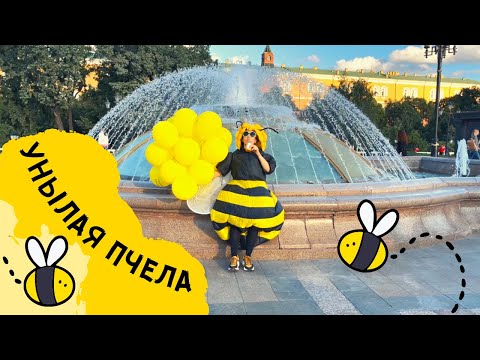 Екатерина Яшникова - Унылая пчела видео (клип)