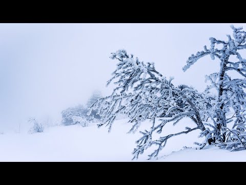 Podzemnii zvyk - Пустота видео (клип)