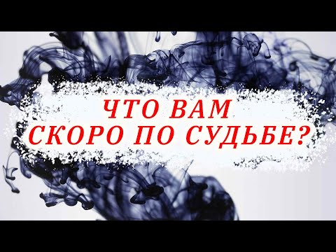 INK - Рассклад видео (клип)