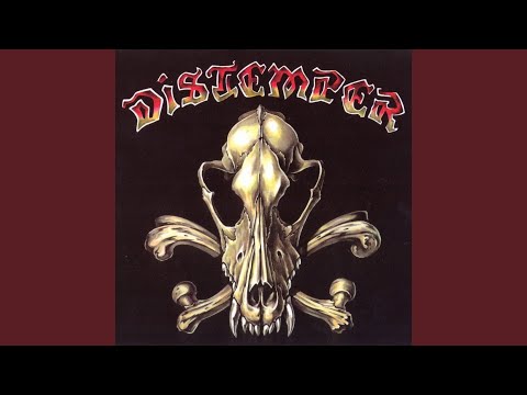 Distemper - Терять сознание от счастья видео (клип)