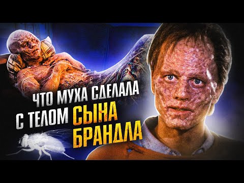 Муха - Сын видео (клип)