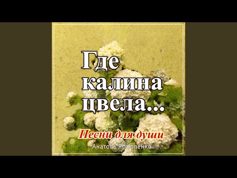 Анатолий Ярмоленко - Праздник победы видео (клип)