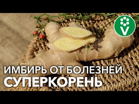 IMBIR - Вступление видео (клип)